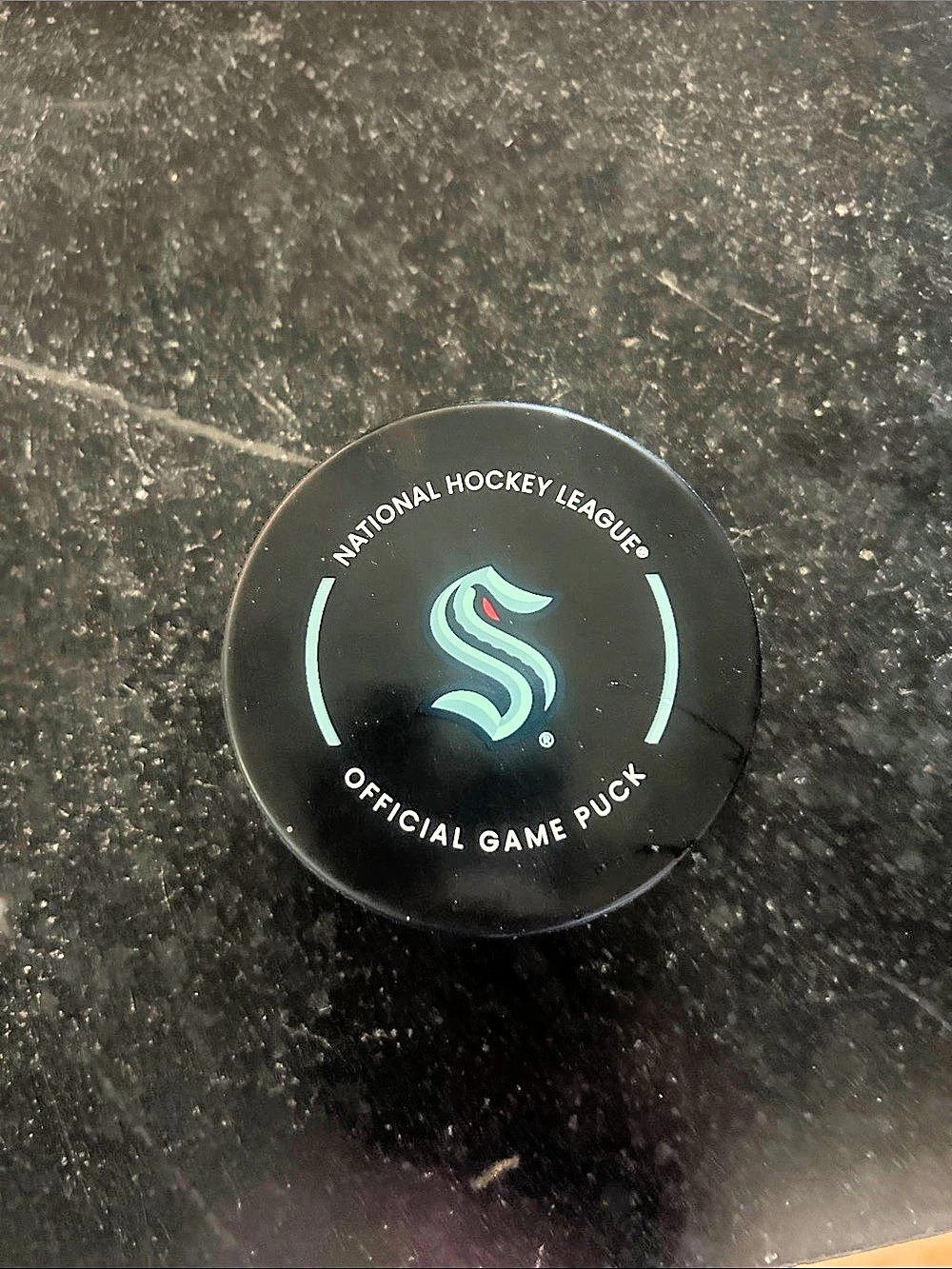 NHL Official Game Puck Black Like New